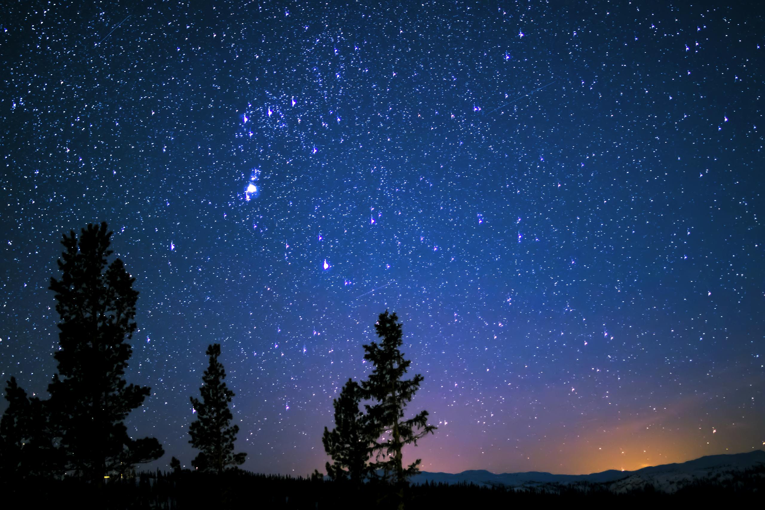 Photo par Sindre Fs Beautiful starry night sky with silhouetted trees, showcasing the vast cosmos.